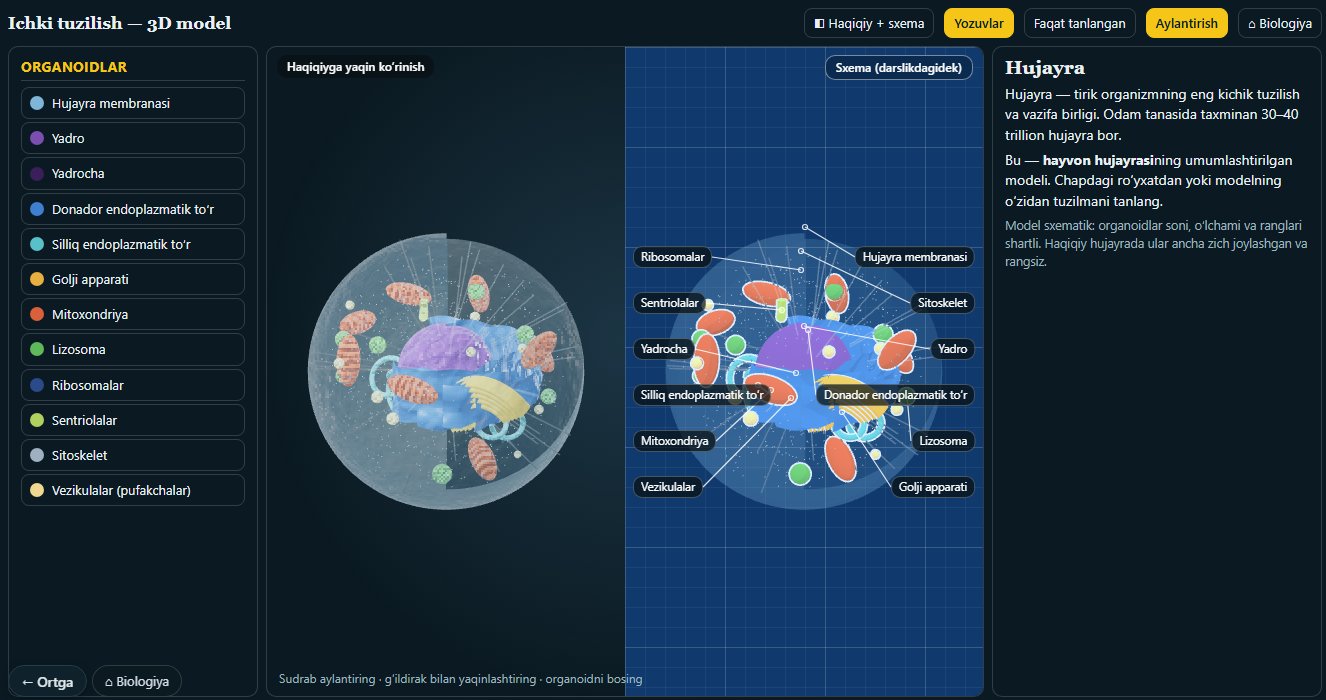 Alim Lab: hujayra 3D model